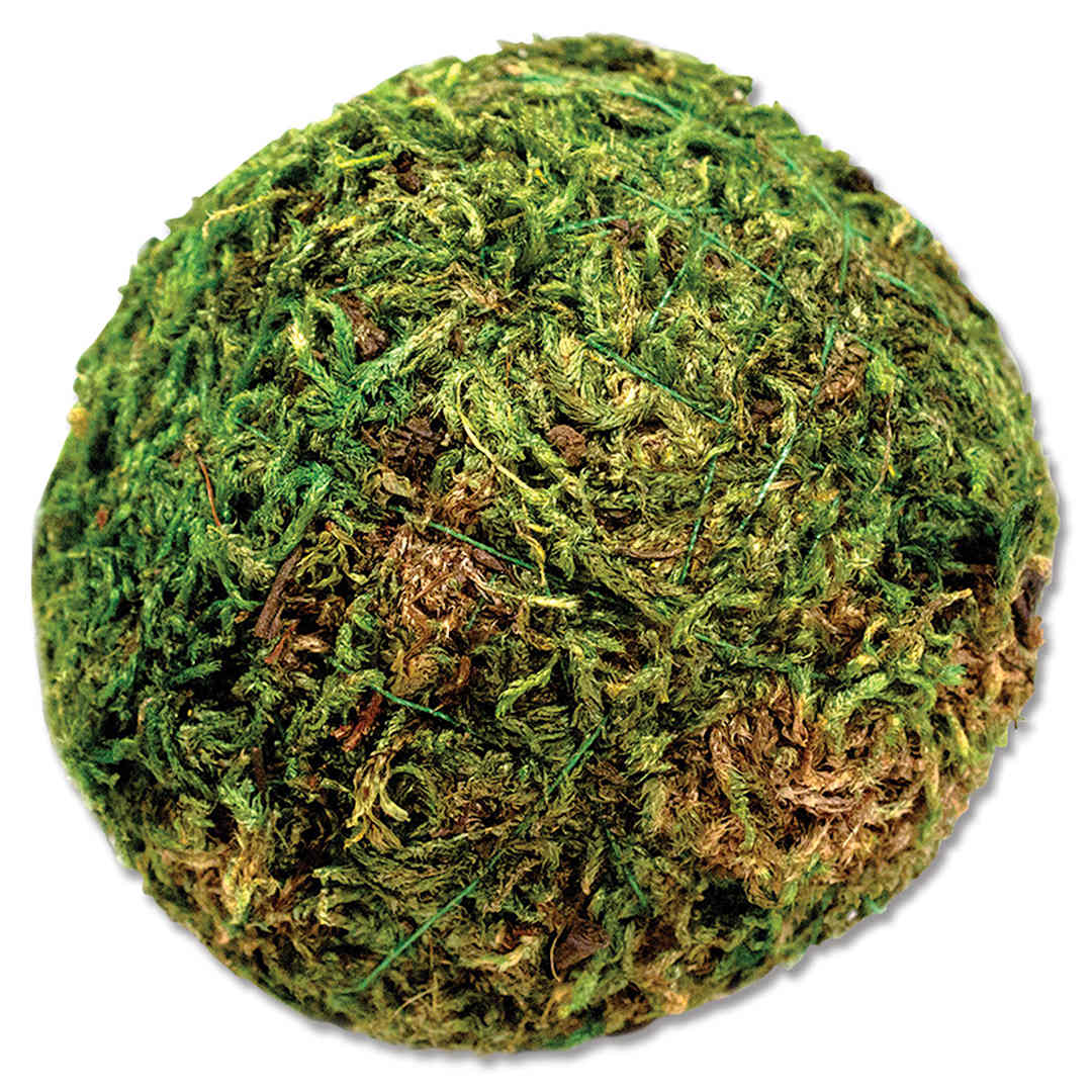 Open in modal - SuperMoss Moss Balls - Two inch diameter ball shown
