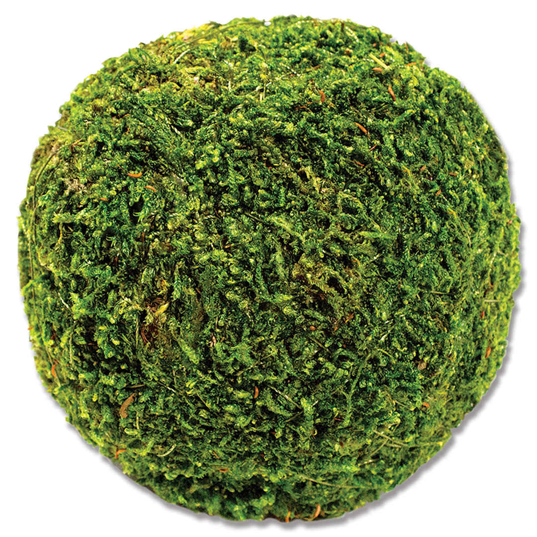 Open in modal - SuperMoss Moss Balls - Four inch diameter ball shown