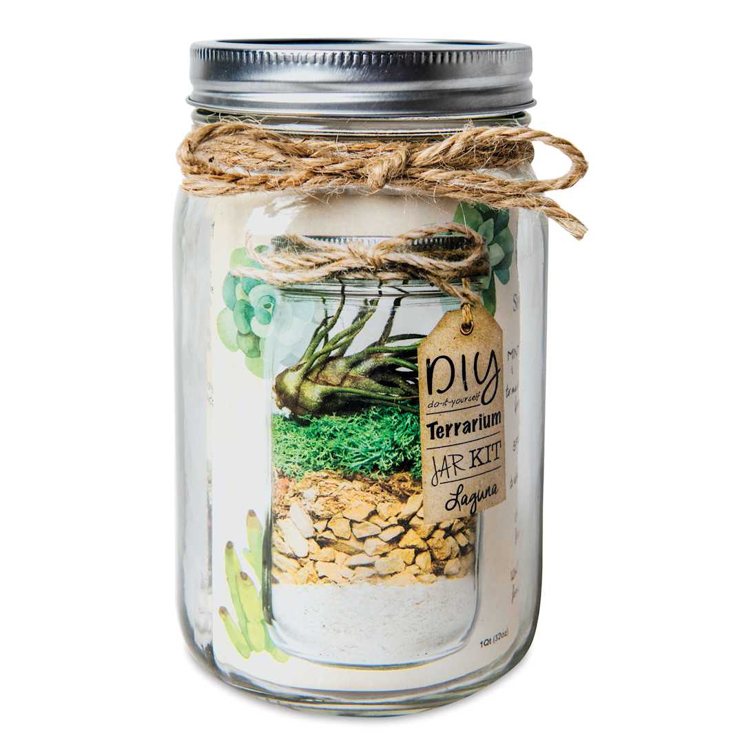 Open in modal - SuperMoss DIY Terrarium Jar Kit - Laguna