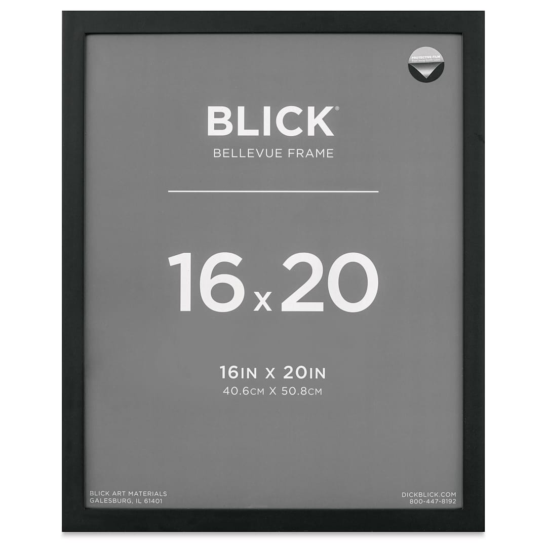 Open in modal - Blick Bellevue Frame - Black, 16" x 20", front of frame