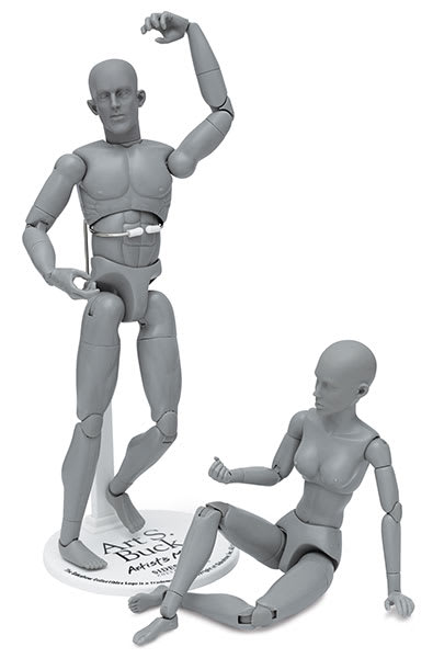 Open in modal - Art S. Buck Anatomical Models