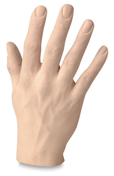 Open in modal - Male Human Hands - Spread Right hand shown upright