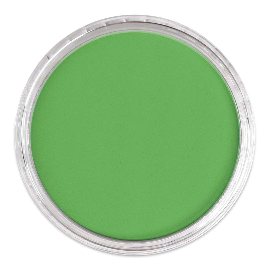 Open in modal - PanPastel Artists’ Painting Pastel - Permanent Green, 640.5, lid off
