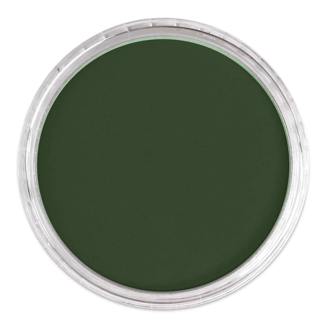 Open in modal - PanPastel Artists’ Painting Pastel - Permanent Green Extra Dark, 640.1, lid off