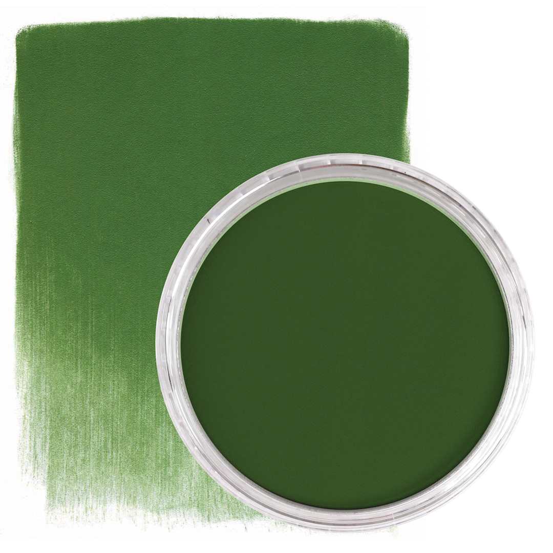 Open in modal - PanPastel Artists’ Painting Pastel - Chromium Oxide Green, 660.5, swatch and pan