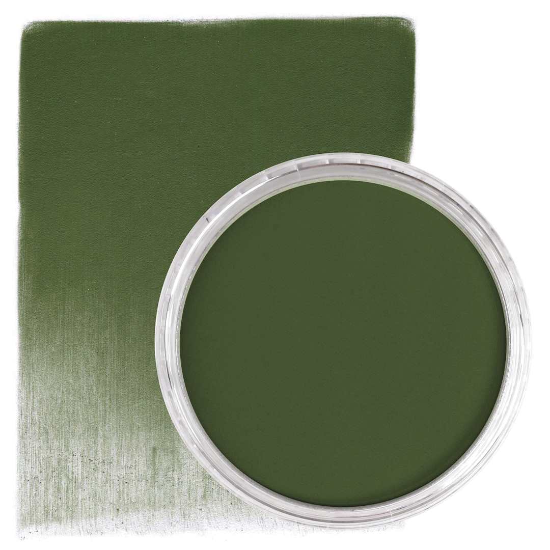 Open in modal - PanPastel Artists’ Painting Pastel - Chromium Oxide Green Shade, 660.3, swatch and pan