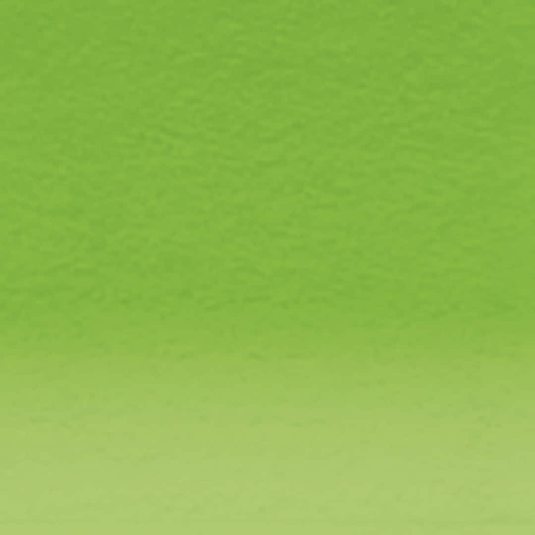 Open in modal - Artists Colored Pencils Grass Green