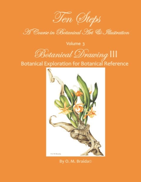 Open in modal - OM Art Drawing 3