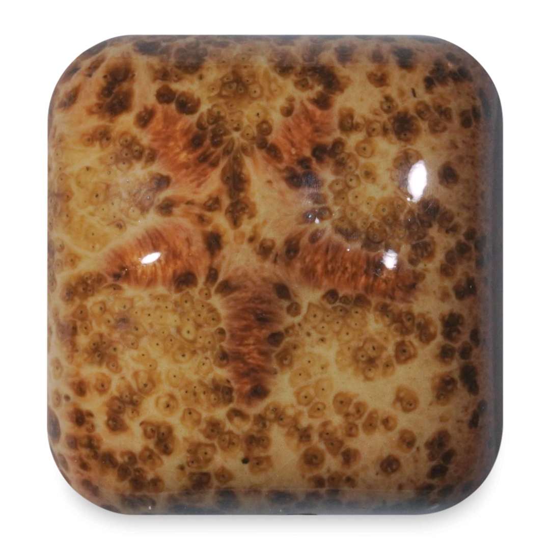 Open in modal - Laguna Moroccan Fusion Rainforest Glaze - Cocoa Nibs, 16 oz