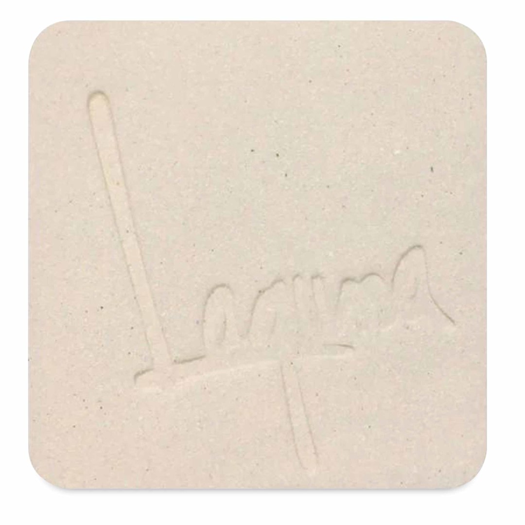 Open in modal - Laguna B-Mix 10 Clay with Grog WC893 fired to oxidation