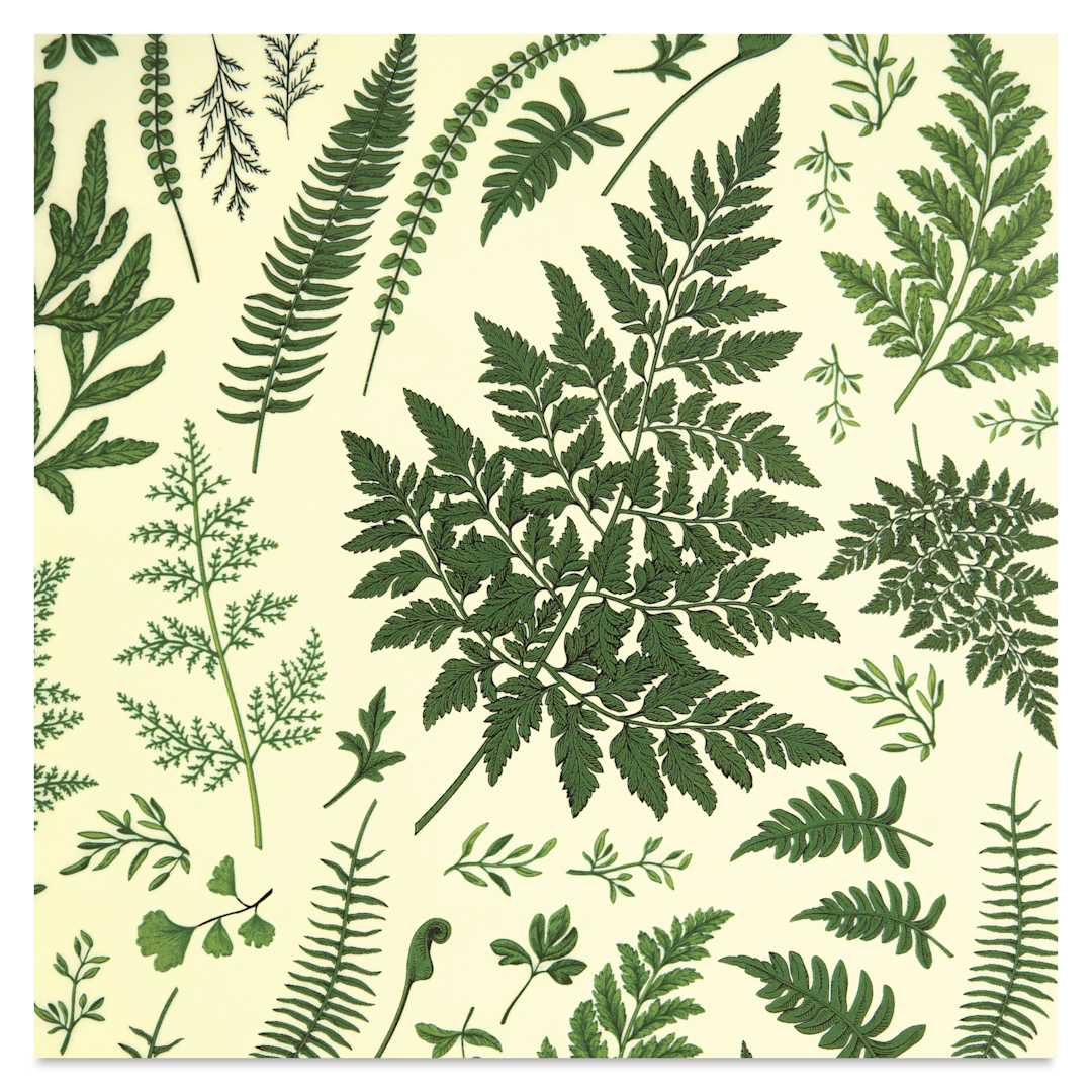 Open in modal - Elan Transfers Overglaze Decal Sheet - Ferns - close-up