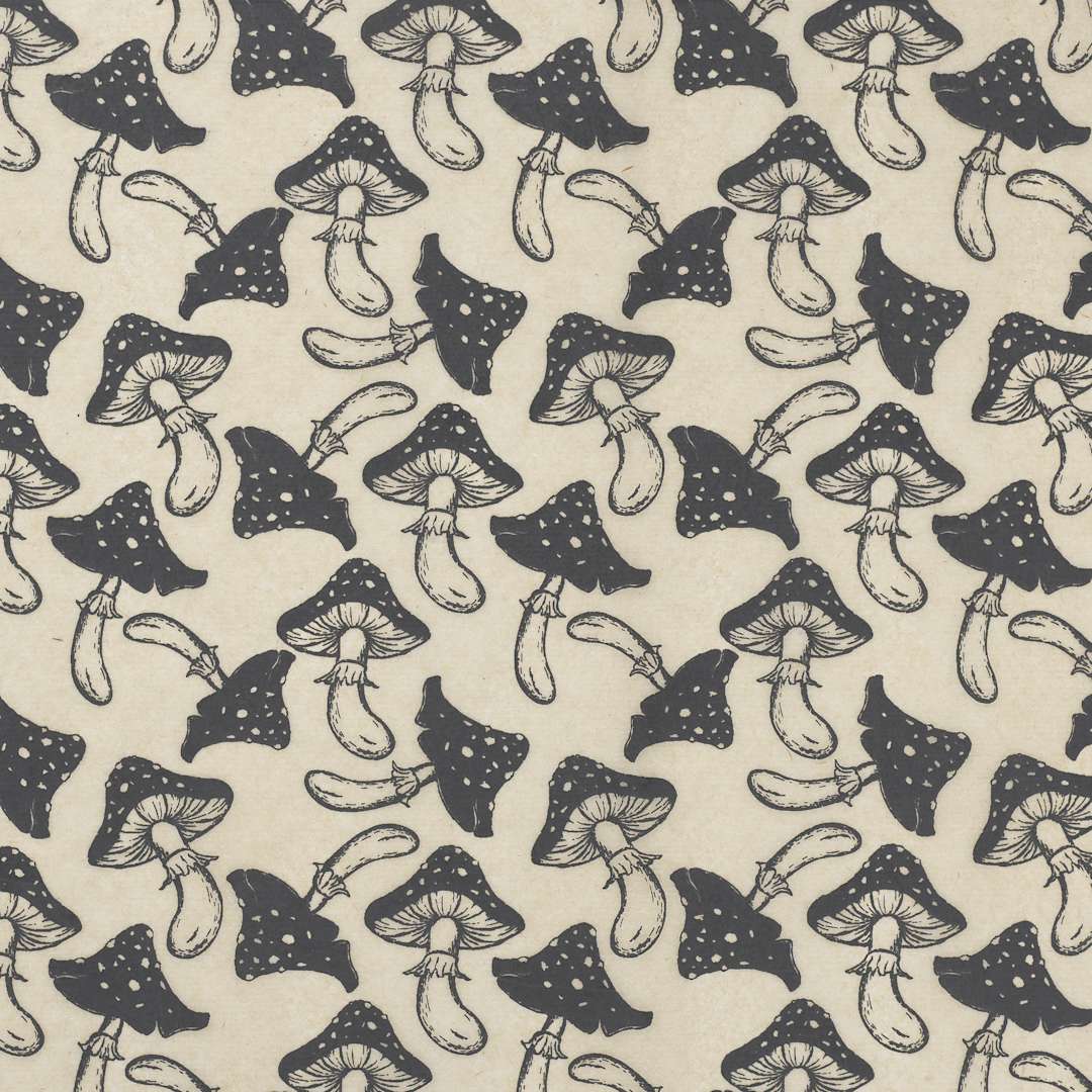 Open in modal - Elan Transfers Underglaze Transfer Sheet - Mushrooms, Black - close-up