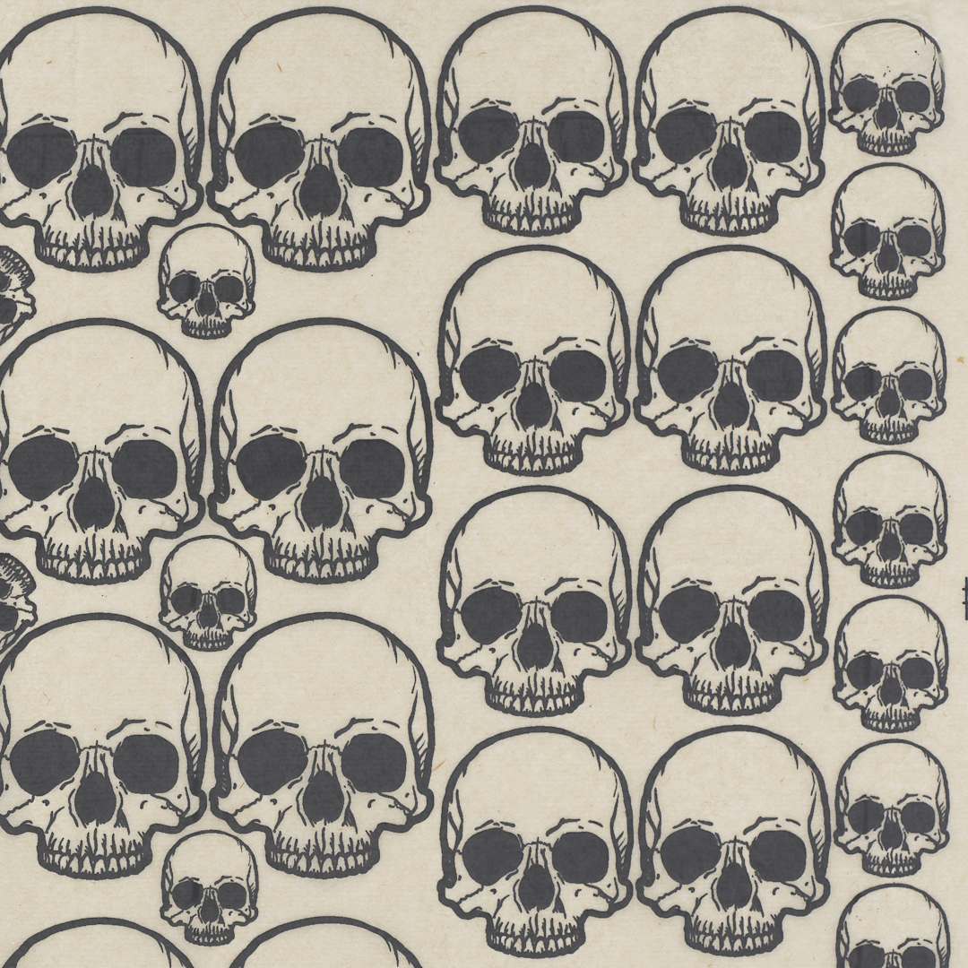 Open in modal - Elan Transfers Underglaze Transfer Sheet - Skulls, Black - close-up