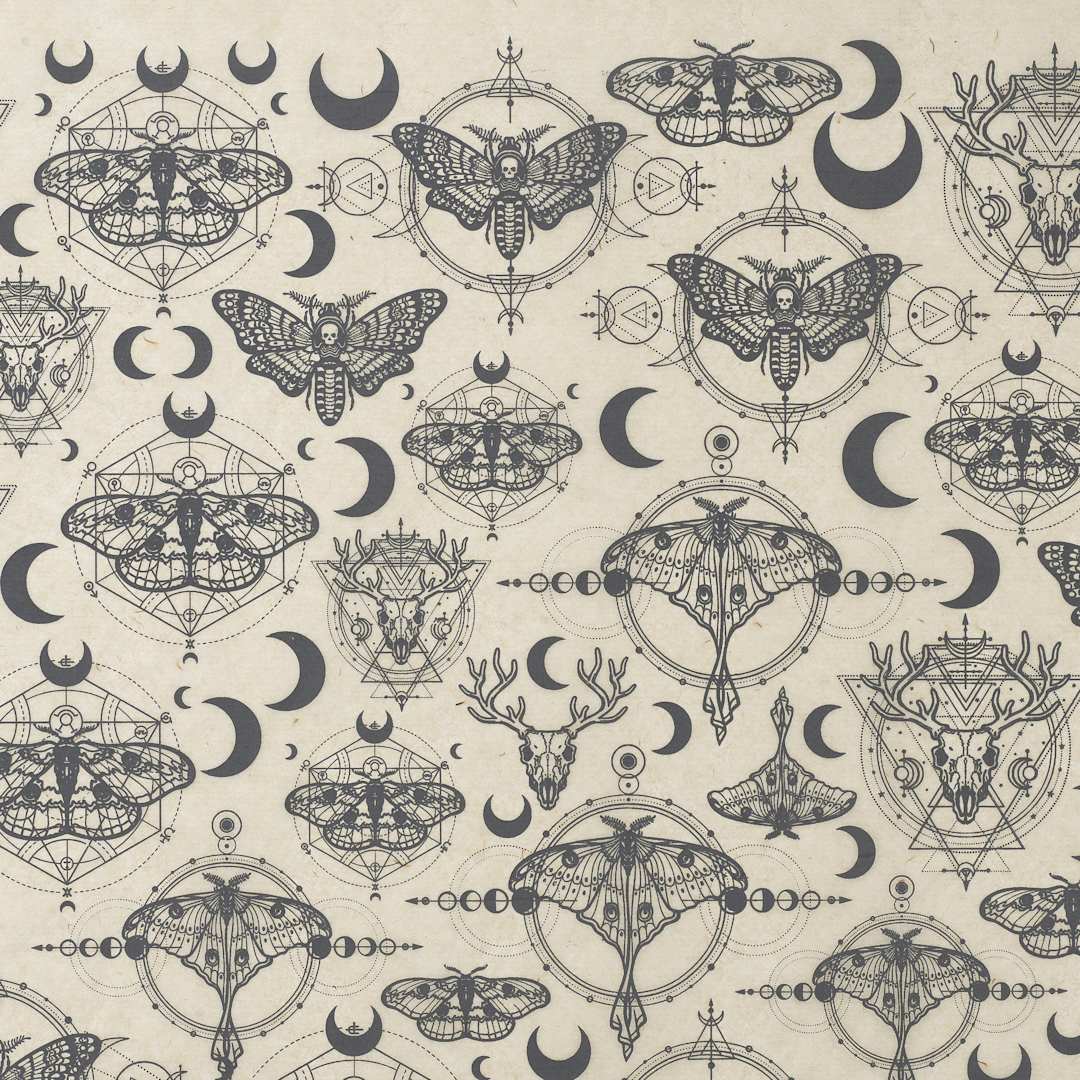 Open in modal - Elan Transfers Underglaze Transfer Sheet - Alchemy, Black - close-up