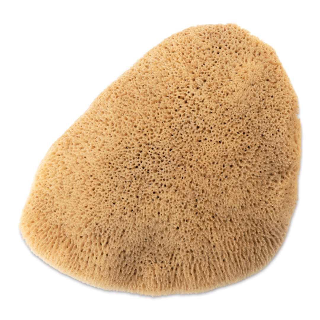 Open in modal - Royal & Langnickel Elephant Ear Sponge - 4" to 4-1/2"