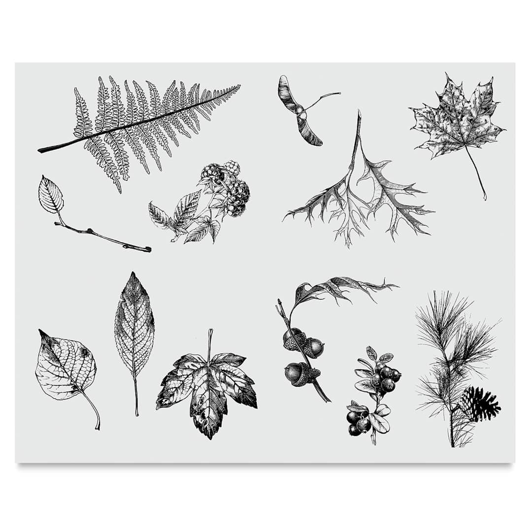 Open in modal - Mayco Designer Silkscreens - Screen of various Leaves shown
