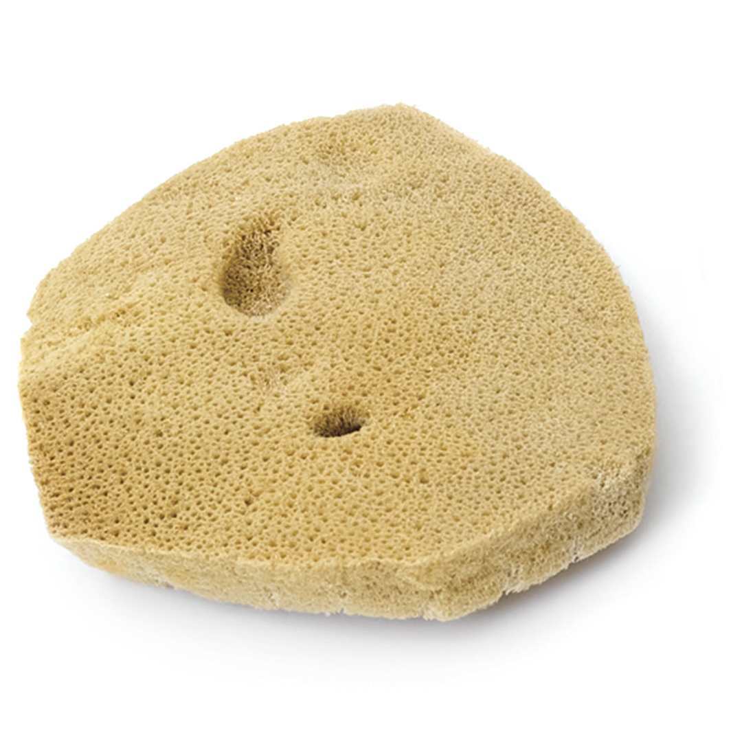 Open in modal - Royal & Langnickel Elephant Ear Economy Sponge - 2 1/2''-3'', #2