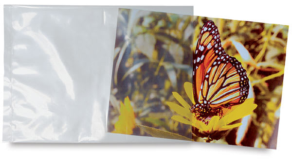 Open in modal - Acid-Free Poly-Bags - Photo of butterfly partially inserted in Bag
