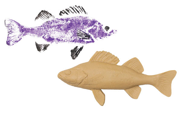 Open in modal - Gyotaku Fish Printing Replicas - Perch Fish form shown with example of printed art possible