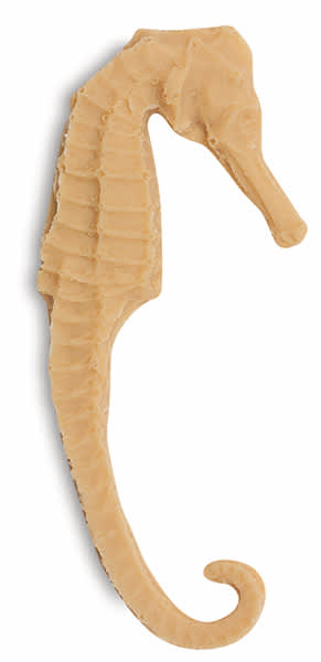 Open in modal - Sea Horse