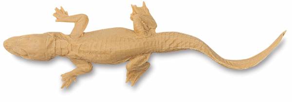 Open in modal - Alligator