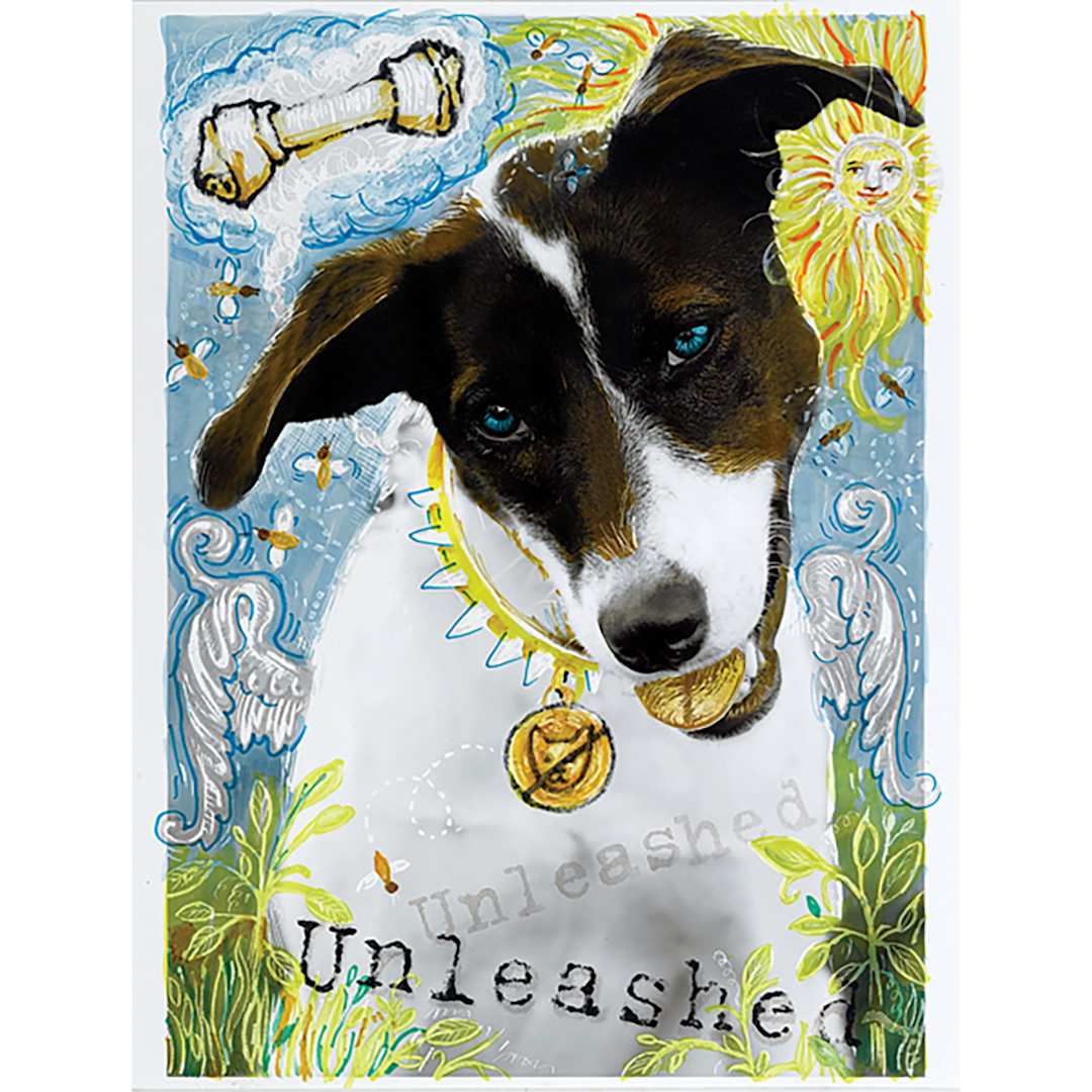 Open in modal - Altered Images