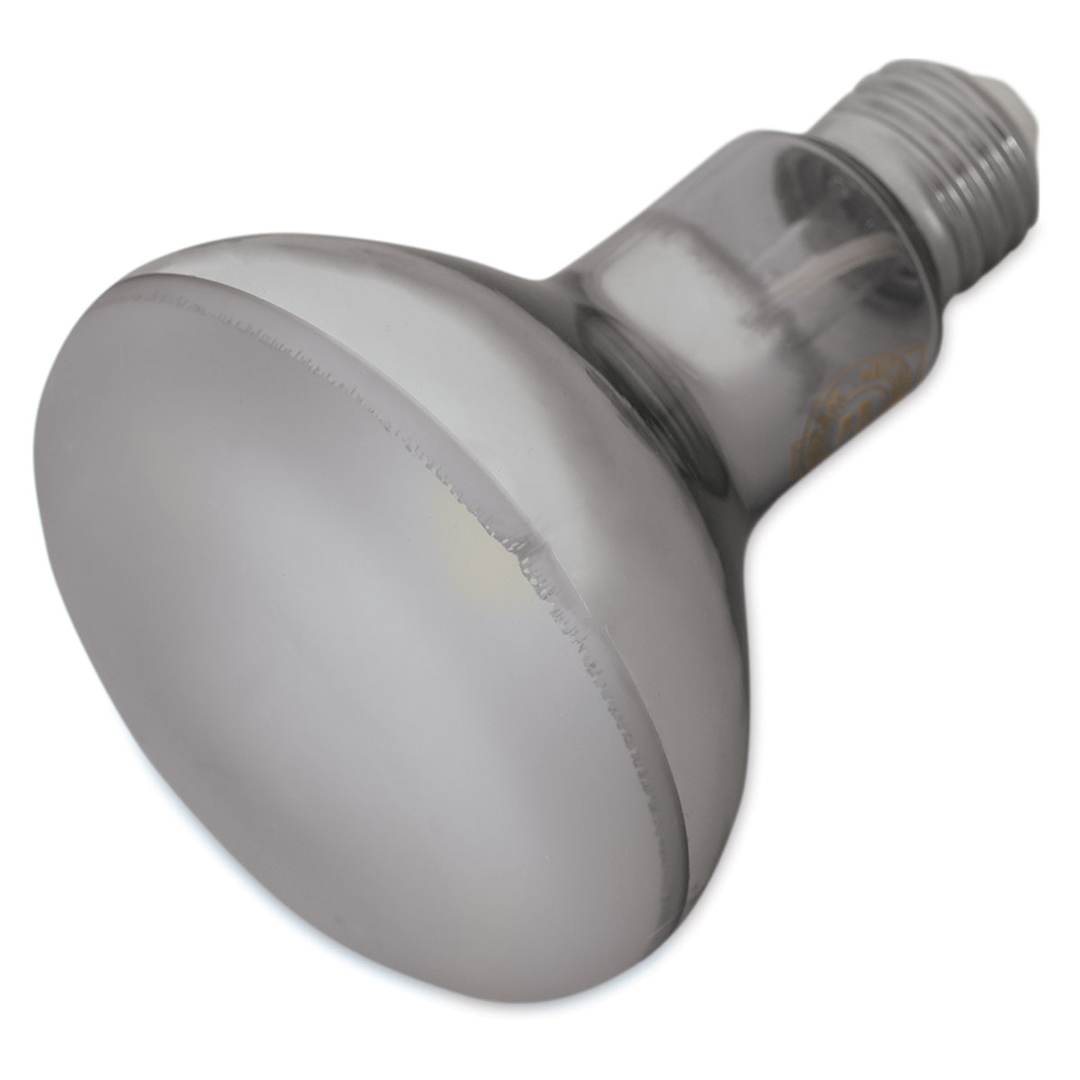 Open in modal - Chromalux Light Bulb - LED, 12W, R30