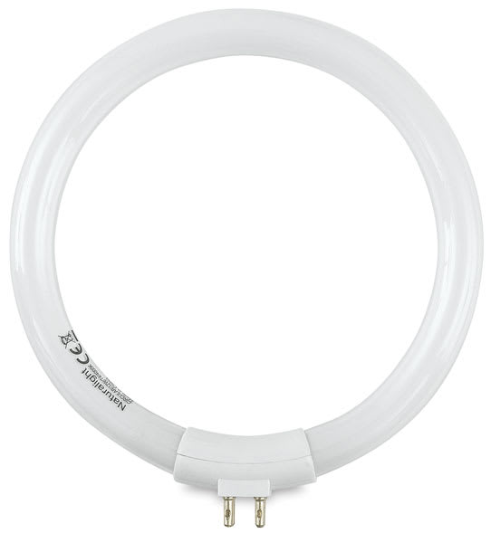 Open in modal - Lamp Bulb