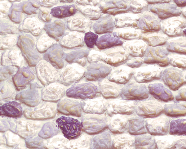 Open in modal - Plastruct Patterned Sheets, Stone Wall, 1:35 Scale (finished example)