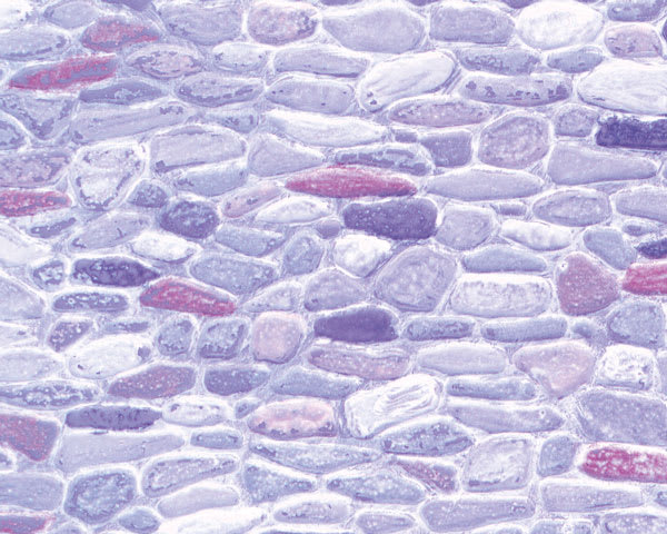 Open in modal - Plastruct Patterned Sheets, Field Stone, 1:48 Scale (finished example)