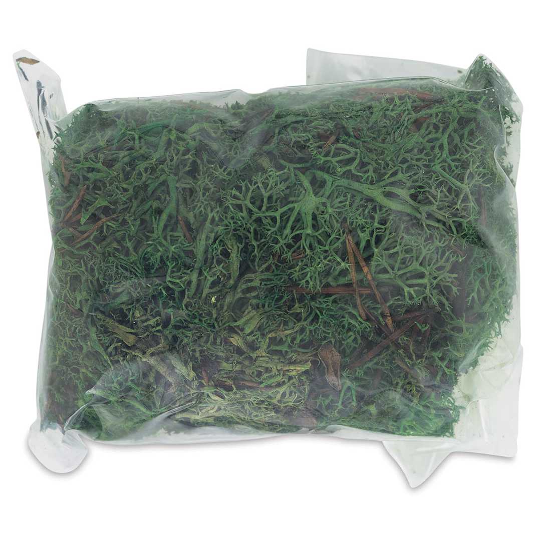 Open in modal - Schulcz Scale Model Foliage - Icelandic Lichen Moss, Olive Green, 50 g (proct out of package)