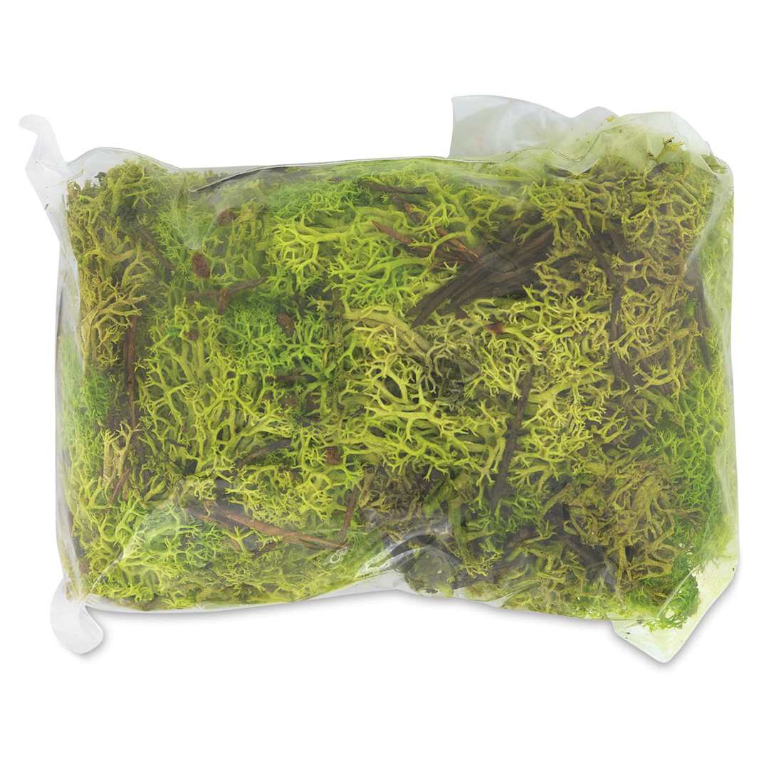 Open in modal - Schulcz Scale Model Foliage - Icelandic Lichen Moss, Green, 50 g (product out of package)