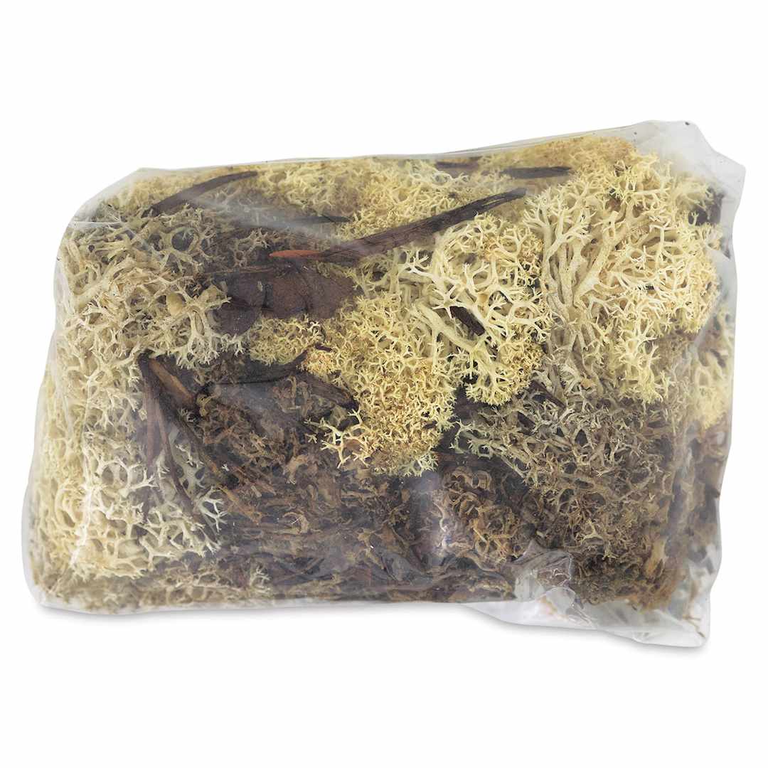 Open in modal - Schulcz Scale Model Foliage - Icelandic Lichen Moss, Natural, 50 g (product out of package)