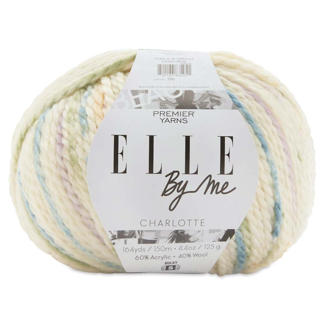 Open in modal - Premier Yarn Elle By Me Charlotte Multi Yarn - Lichen, 164 yds