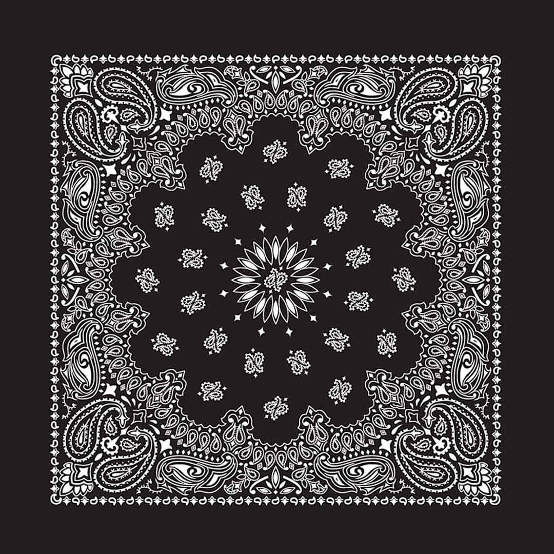 Open in modal - Hav-A-Hank Paisley Bandana - Black, 22" W x 22" L