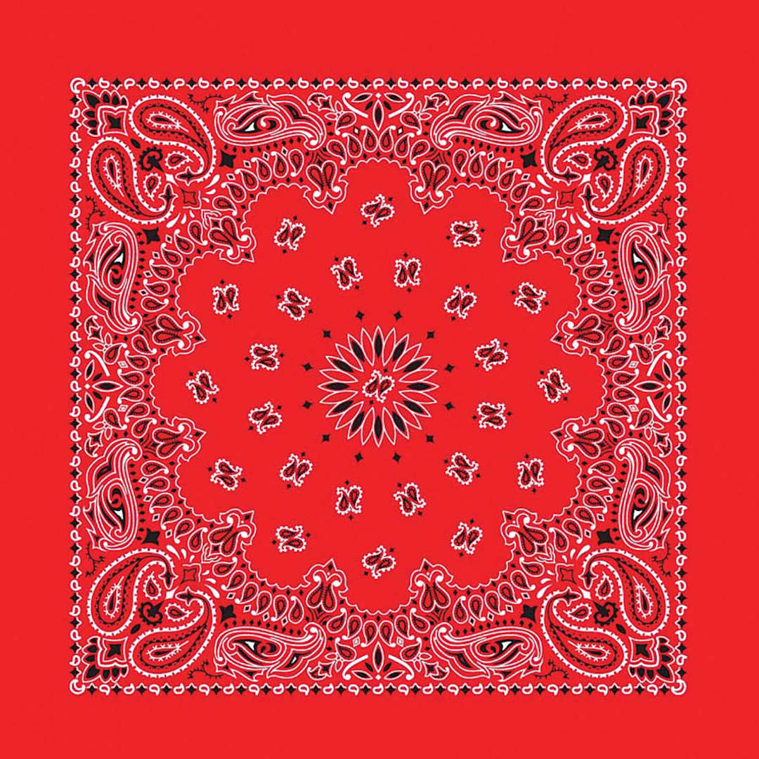 Open in modal - Hav-A-Hank Paisley Bandana - Red, 22" W x 22" L