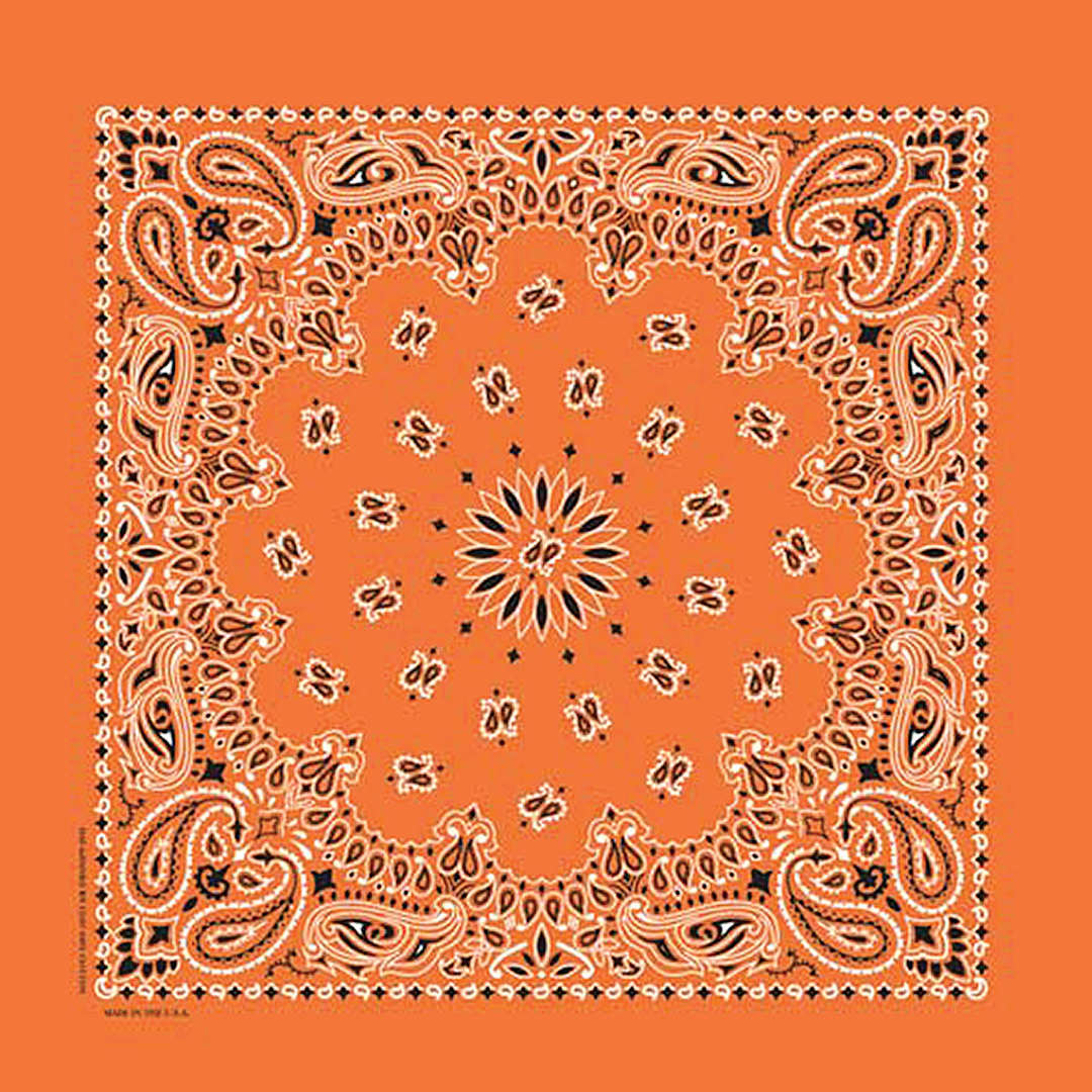 Open in modal - Hav-A-Hank Paisley Bandana - Orange, 22" W x 22" L