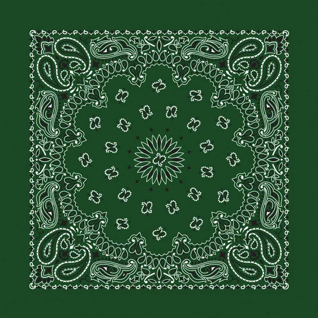 Open in modal - Hav-A-Hank Paisley Bandana - Hunter Green, 22" W x 22" L