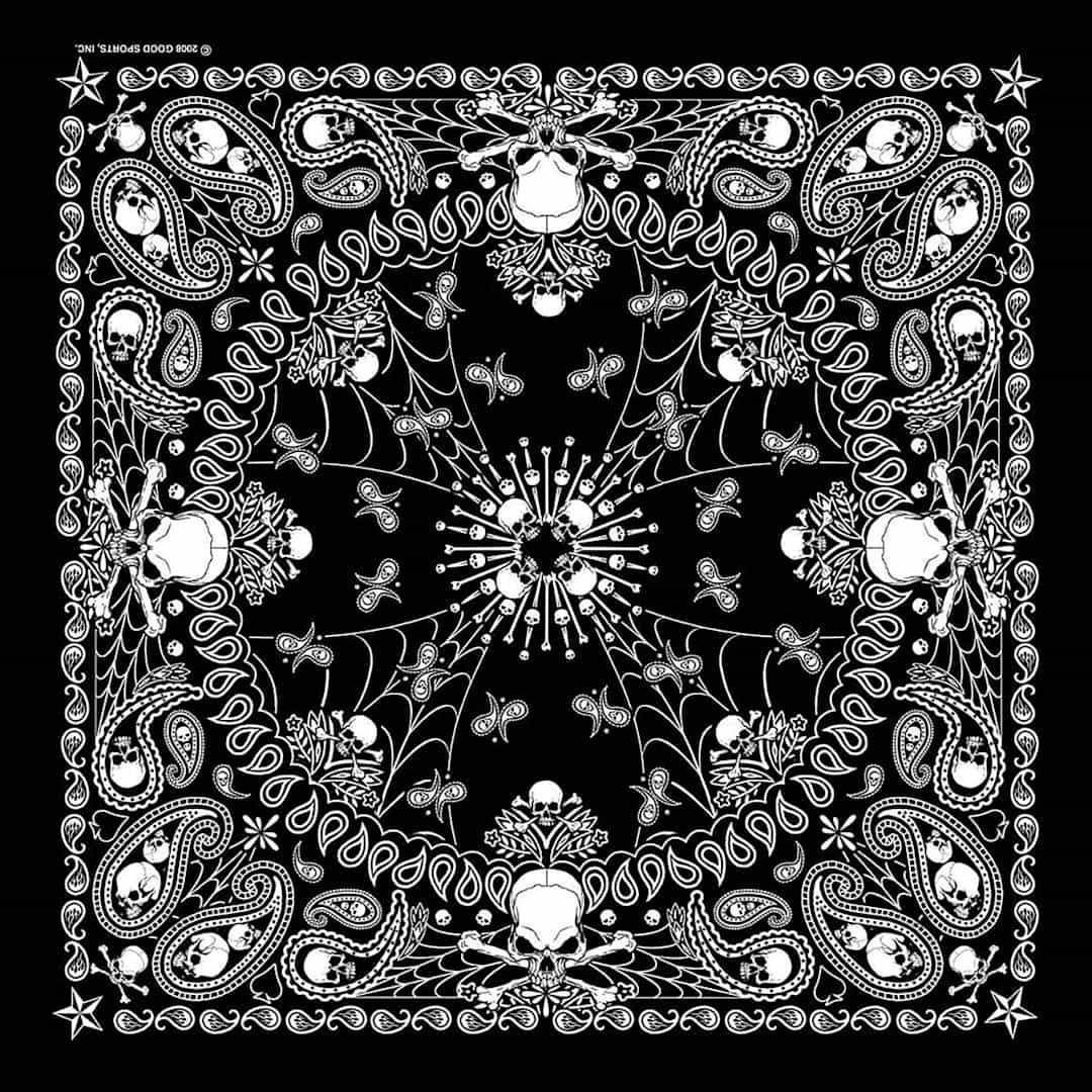 Open in modal - Hav-A-Hank Novelty Bandana - Skeletal Paisley, 22" W x 22" L
