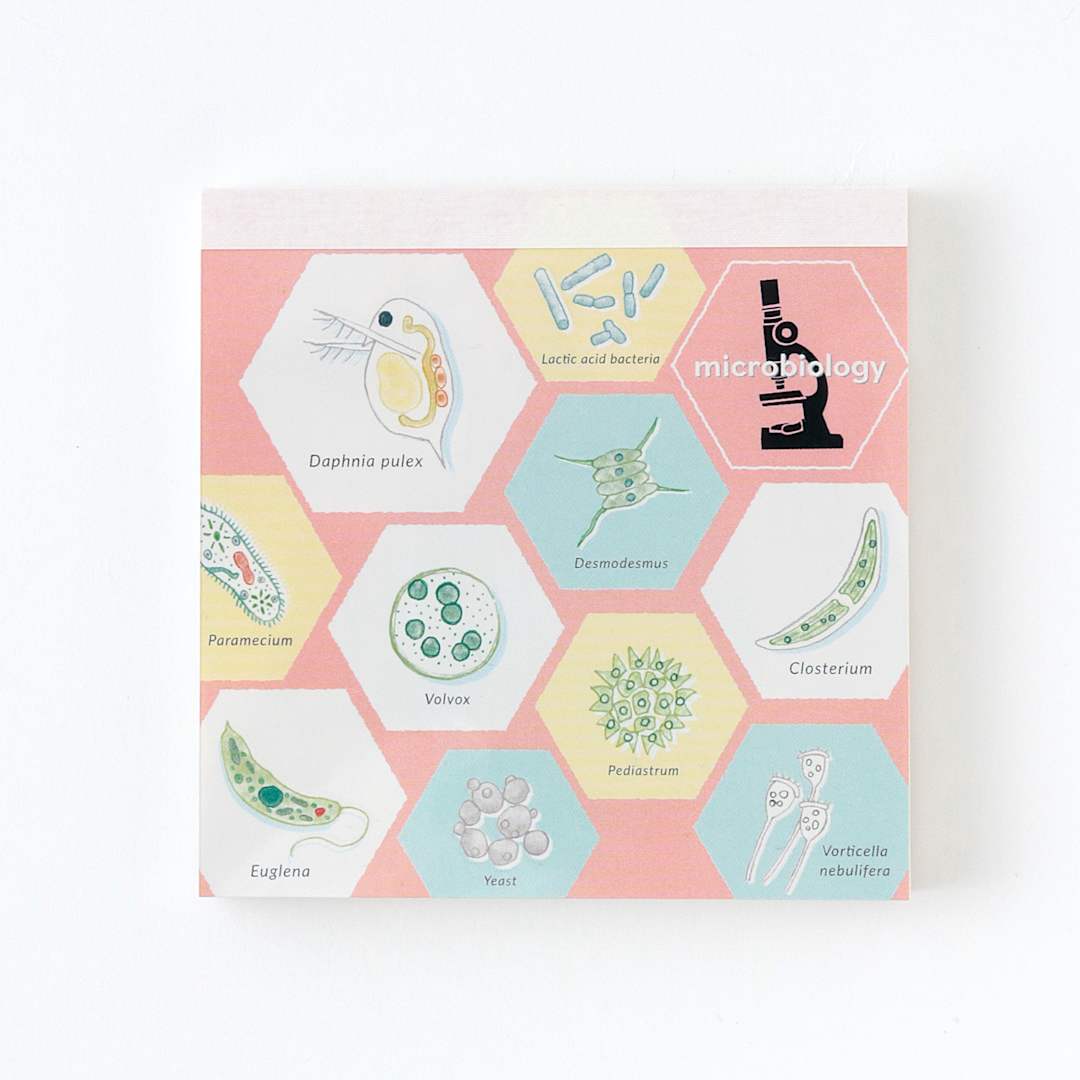 Open in modal - Green Flash Study Holic Square Memo Pad, Microbiology