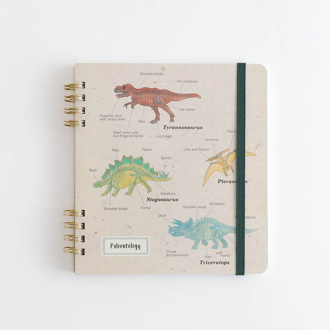 Open in modal - Green Flash Study Holic Sprial Notepad, Paleontology