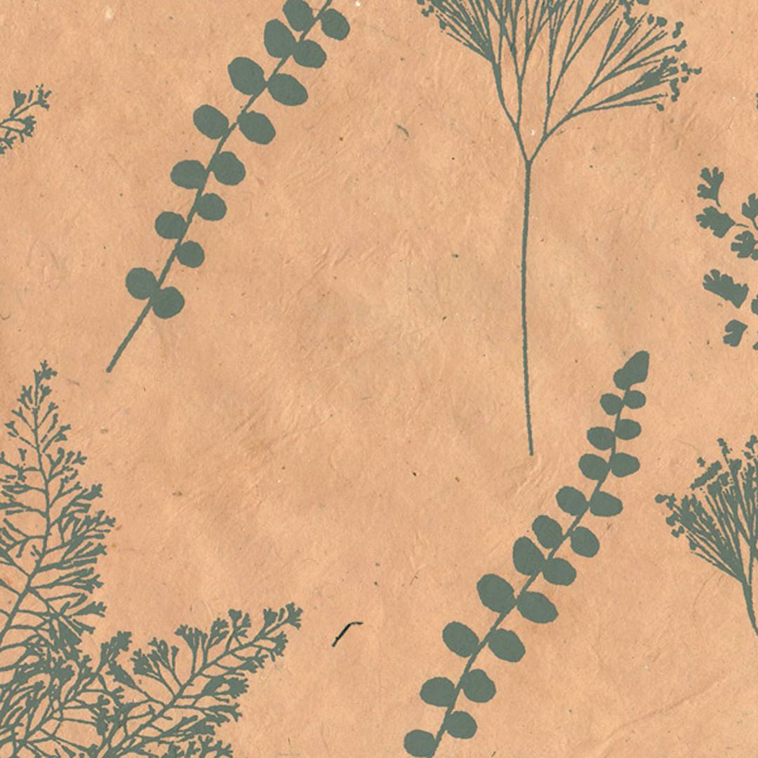 Open in modal - LAMALI Decorative Lokta Paper, 20 in x 30 in, Botanic, Peach, Sage Silkscreen