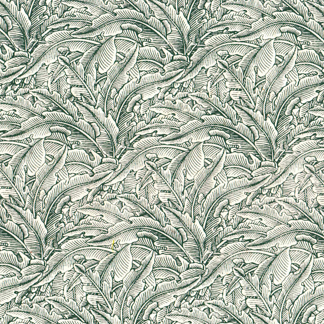 Open in modal - LAMALI Decorative Lokta Paper, 20 in x 30 in, Greenery Small, White, Lichen Silkscreen