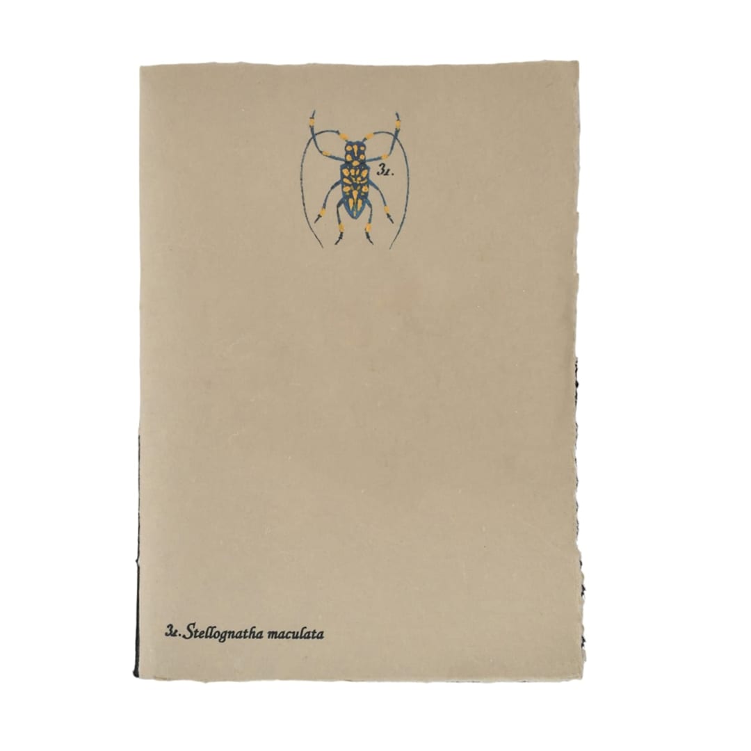 Open in modal - LAMALI Tresor Toned Soft-Cover Handmade Journal, 96 Pages, Toned Grey