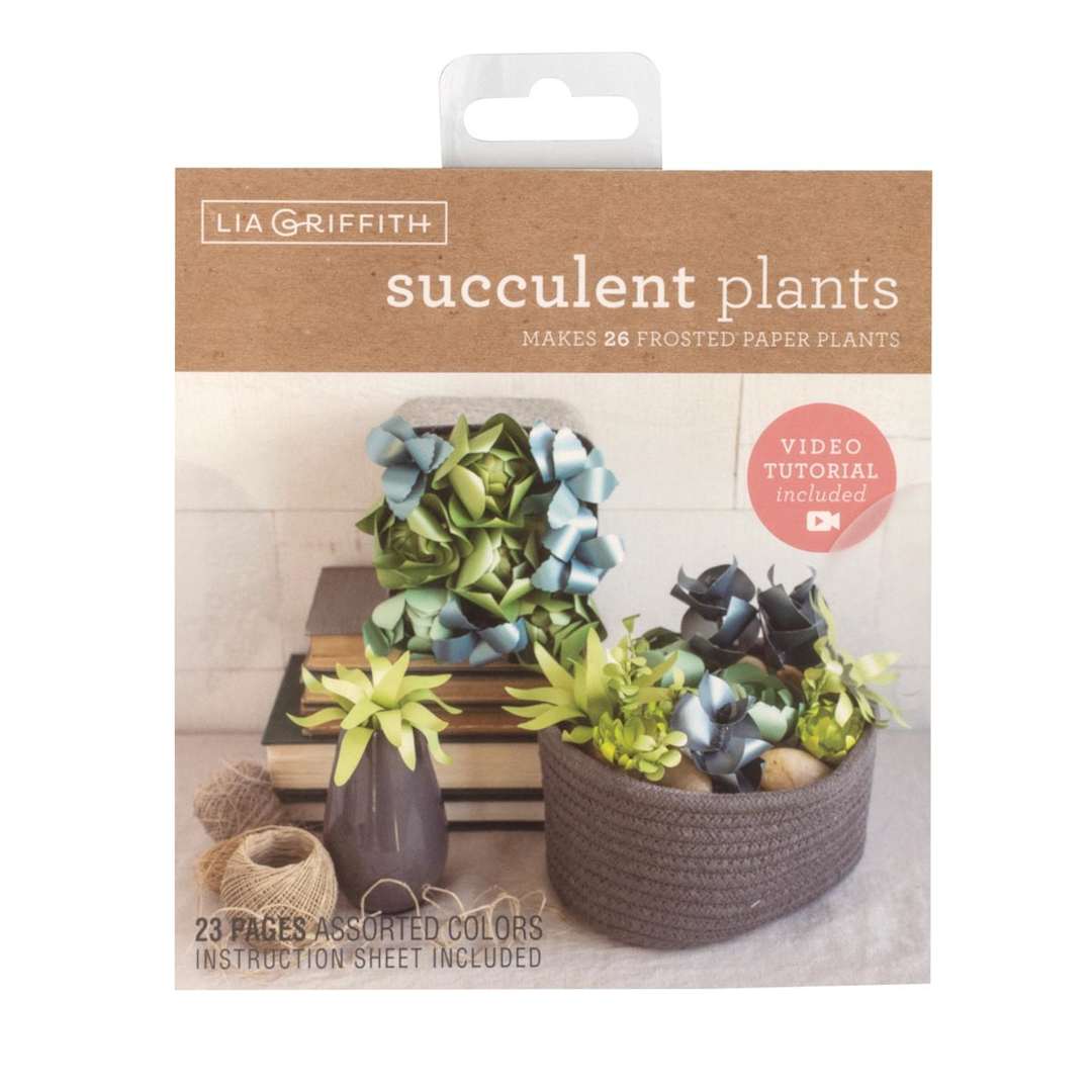 Open in modal - Frosted Paper Stack Kits Succulent Plants Kit