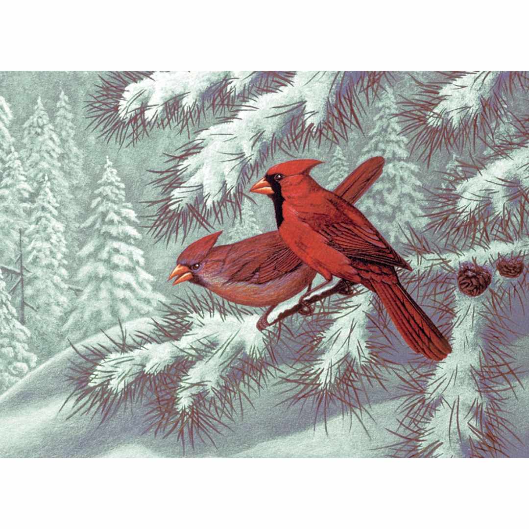 Open in modal - Adult Painting by Numbers Kits Cardinals, 11 3/8" x 15 3/8" - Peggable
