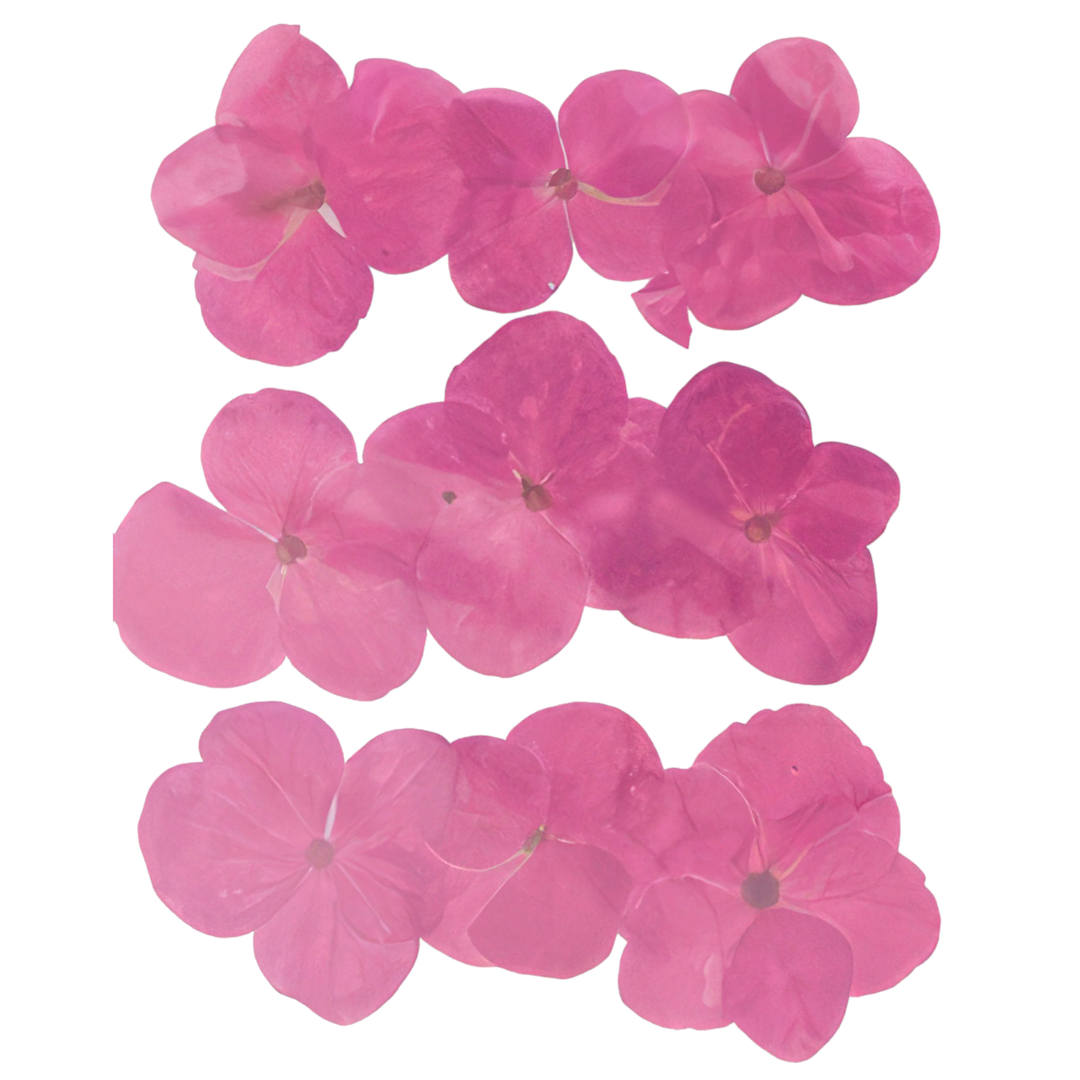 Open in modal - Rico Design Pressed Flowers - Hydrangea Pkg of 9