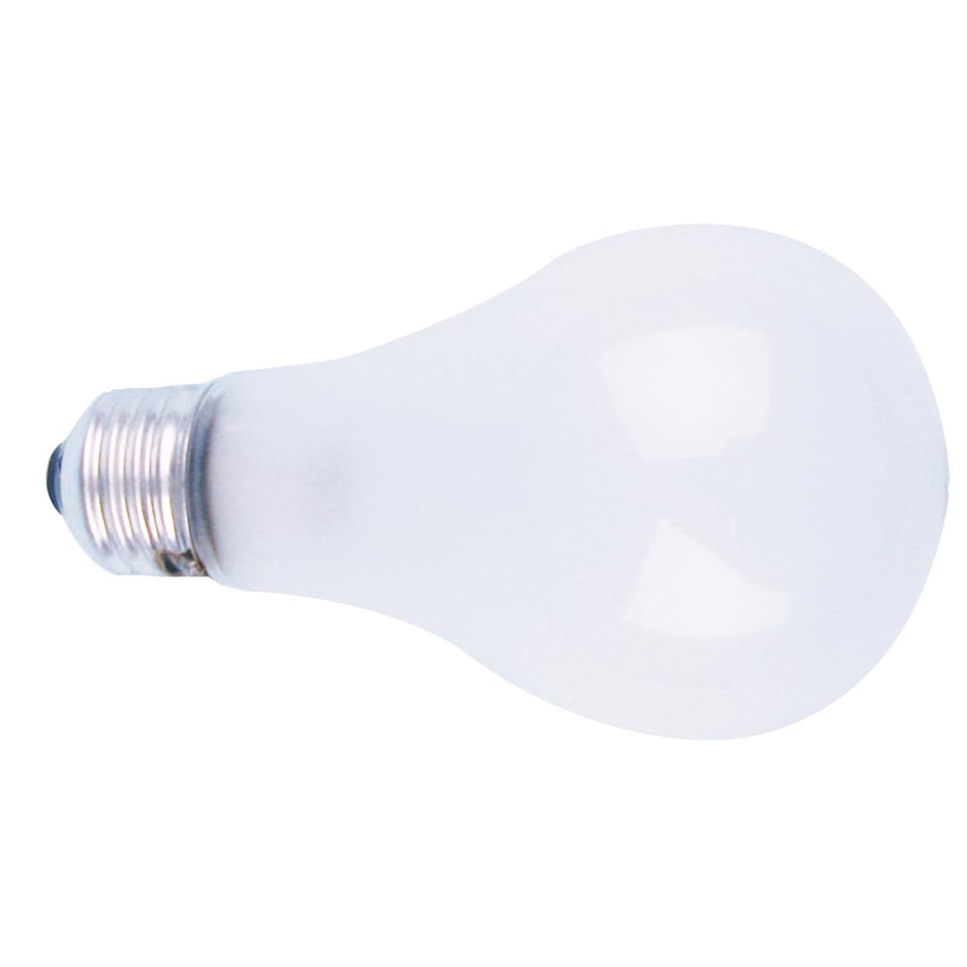 Open in modal - PHOTO FLOOD BULB