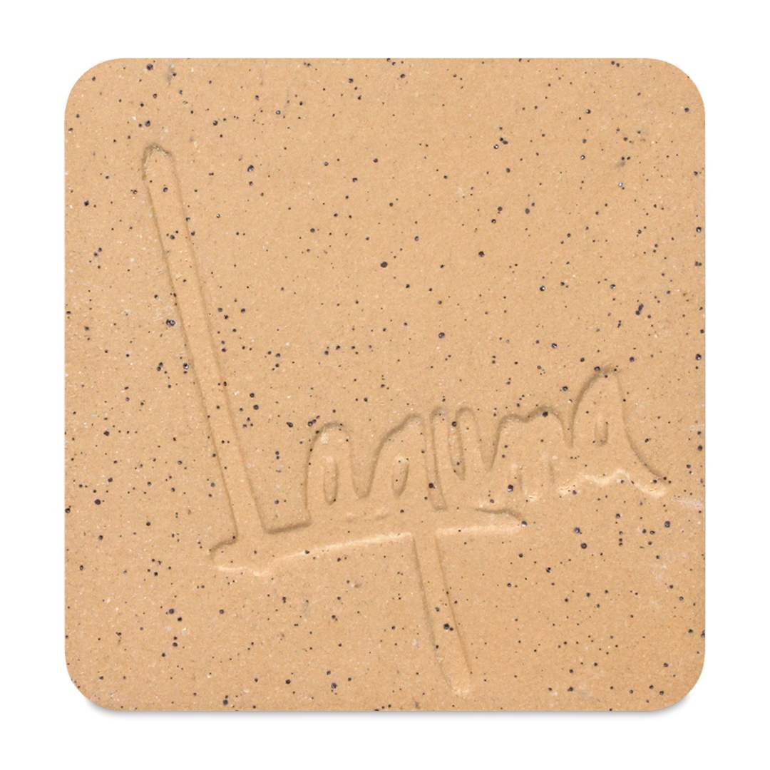 Open in modal - Laguna Speckled Buff Clay WC403 - 50 lb (fired to Cone 5 in an oxidation environment)