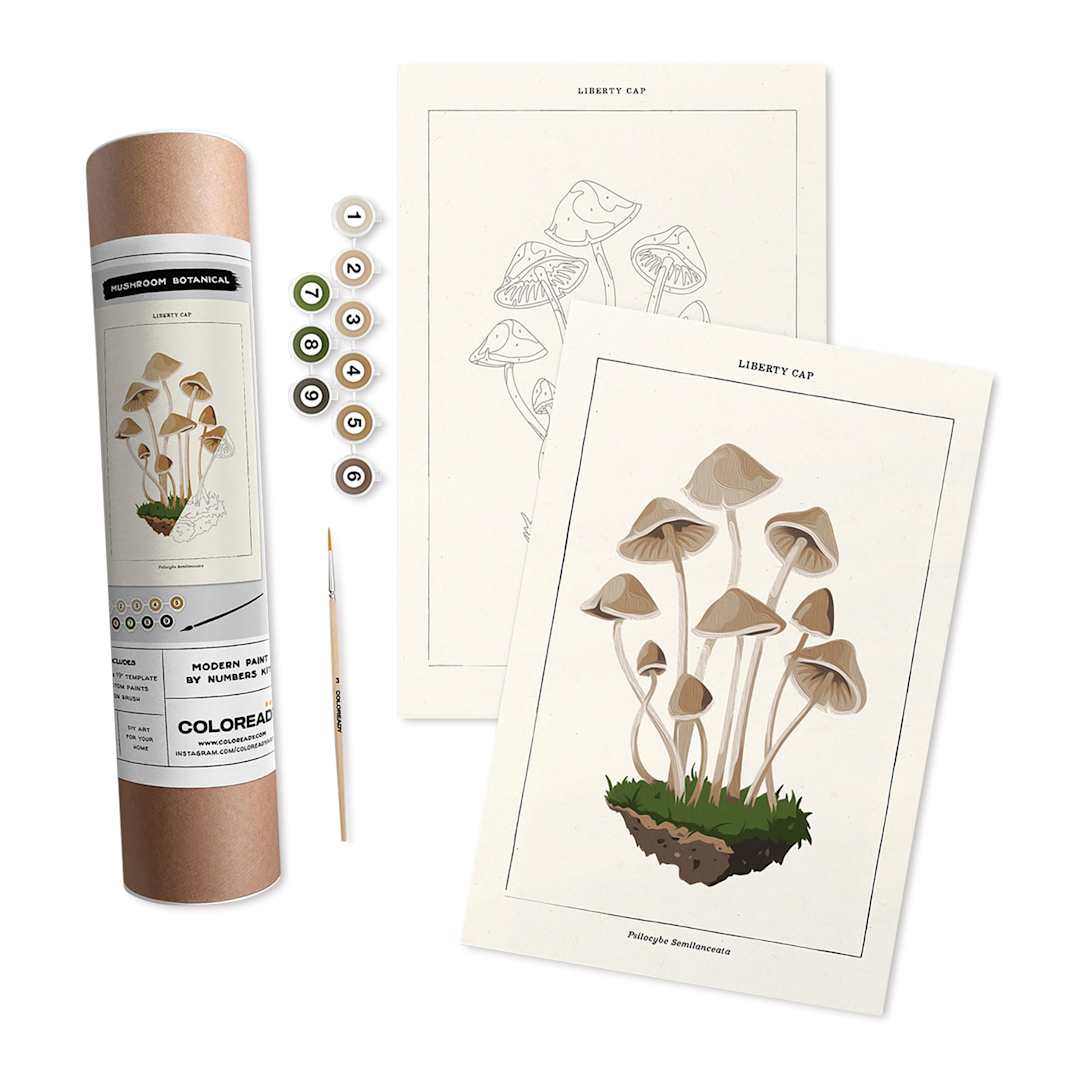 Open in modal - Coloready Paint by Number Kit - Mushroom Botanical, kit with finished example